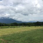 ながぬま農業担い手育成協議会