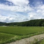 農家はいつ休んでいるのか