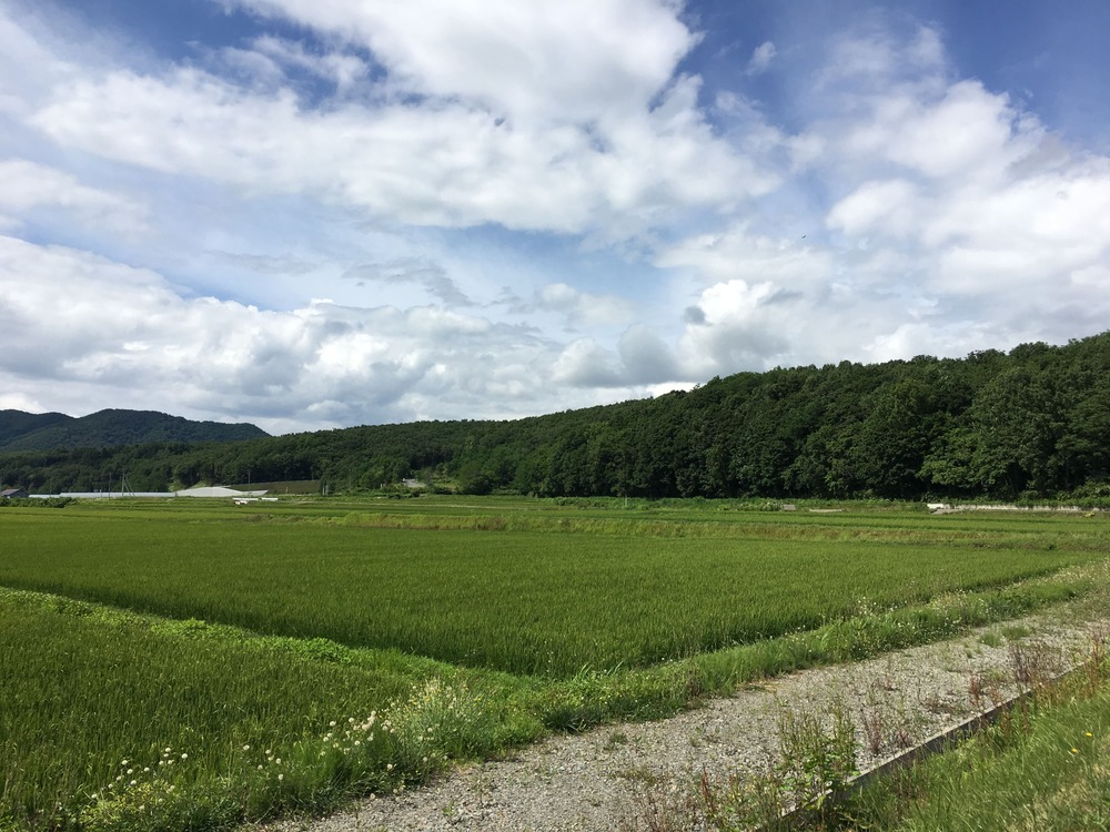 北海道の農地