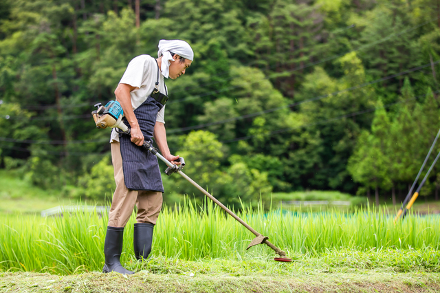 草刈りをする男性